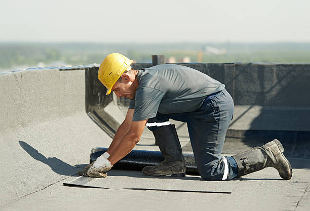 Best Cellulose Insulation in Ballinger, TX